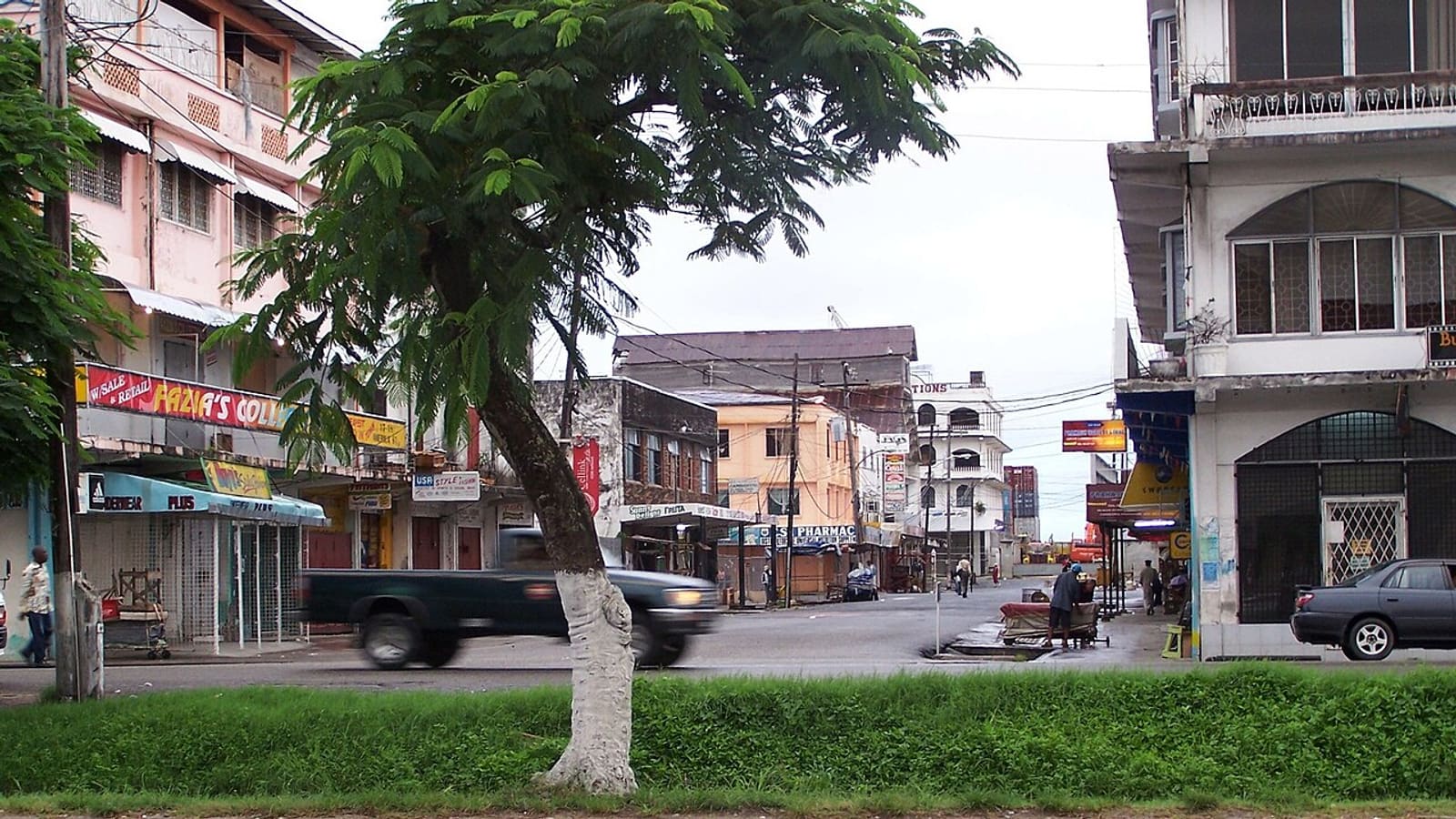 A typical tree-lined street in Georgetown.